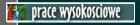 Prace wysokociowe